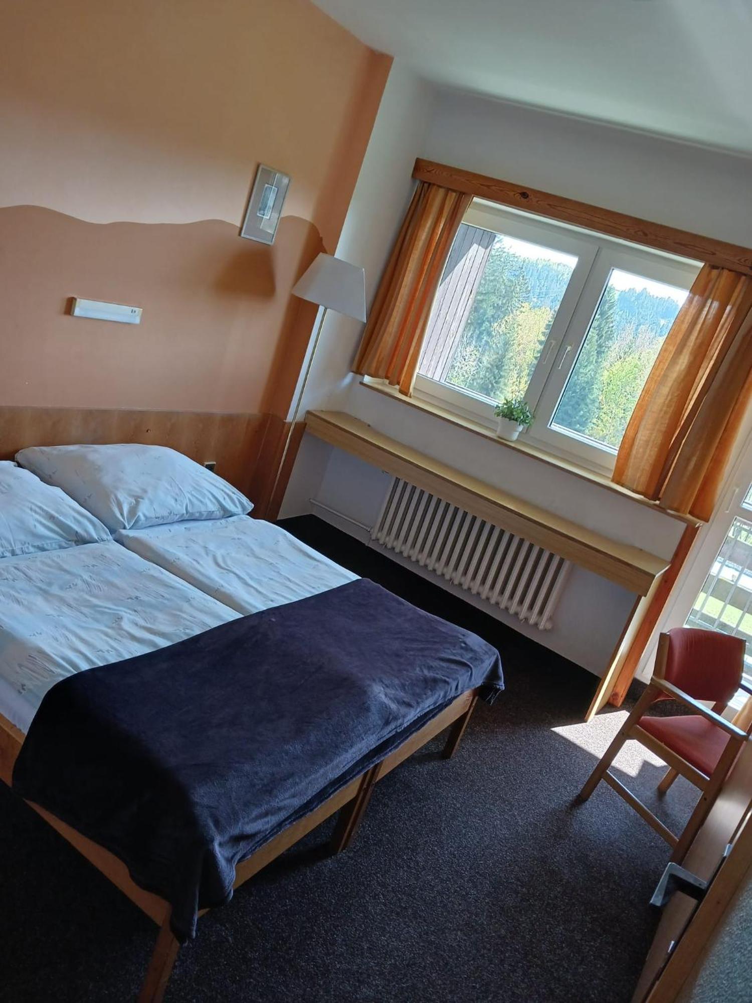 Hotel Albert - Retro Paseky nad Jizerou Luaran gambar