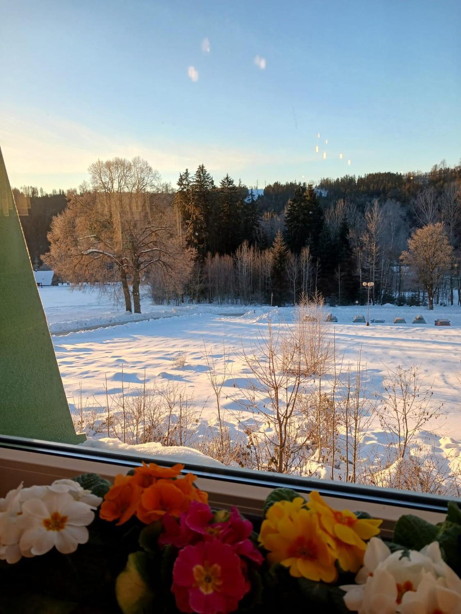 Hotel Albert - Retro Paseky nad Jizerou Luaran gambar